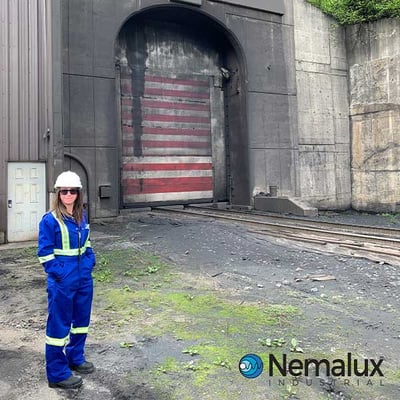 Nemalux-Melissa-Train-Tunnel-Mountain-Lighting-600